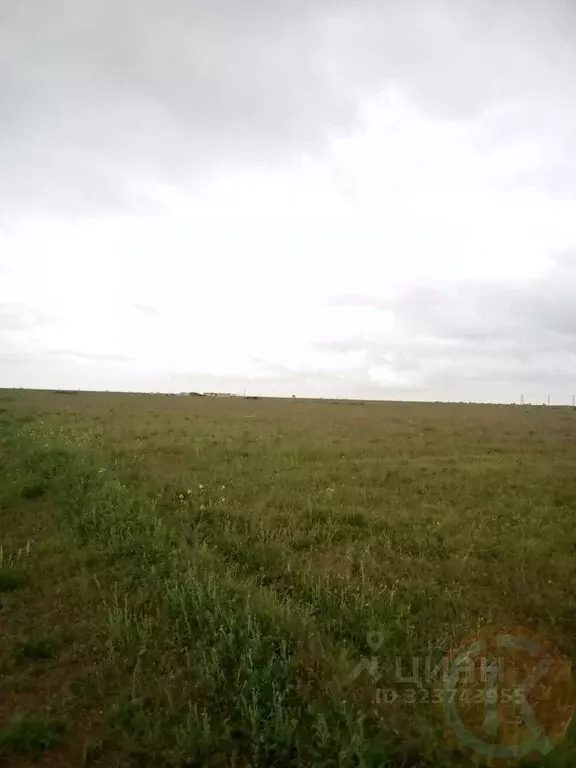 Участок в Крым, Сакский район, Ромашкинское с/пос, с. Колоски  (6.0 ... - Фото 1