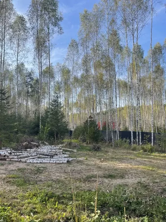 Участок в Московская область, Сергиево-Посадский городской округ, с. ... - Фото 0