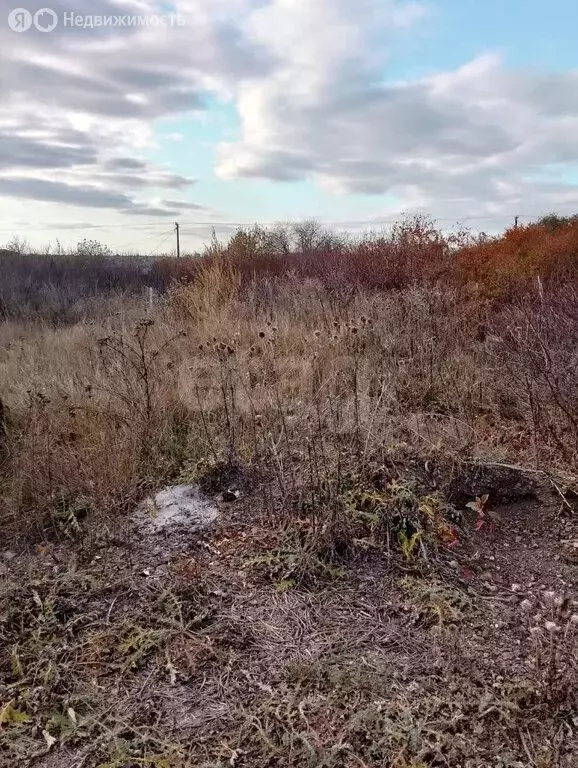 Участок в Сакмарский район, Татаро-Каргалинский сельсовет, СТ Ветерок, ... - Фото 1