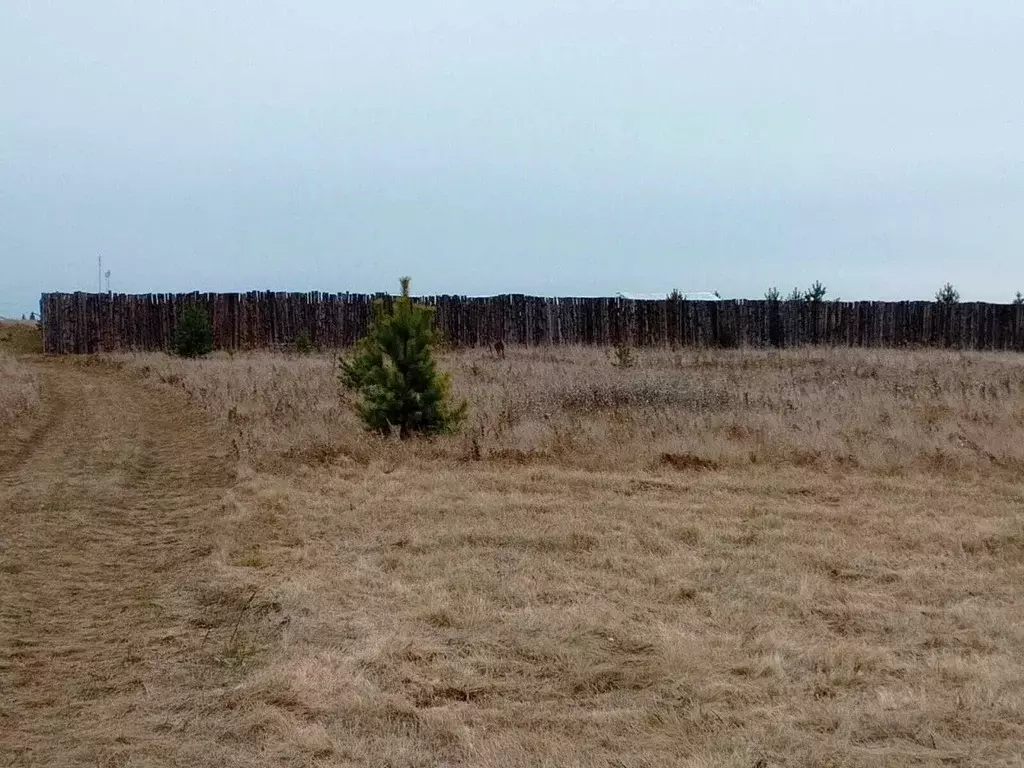 Участок в Свердловская область, Белоярский муниципальный округ, с. ... - Фото 2