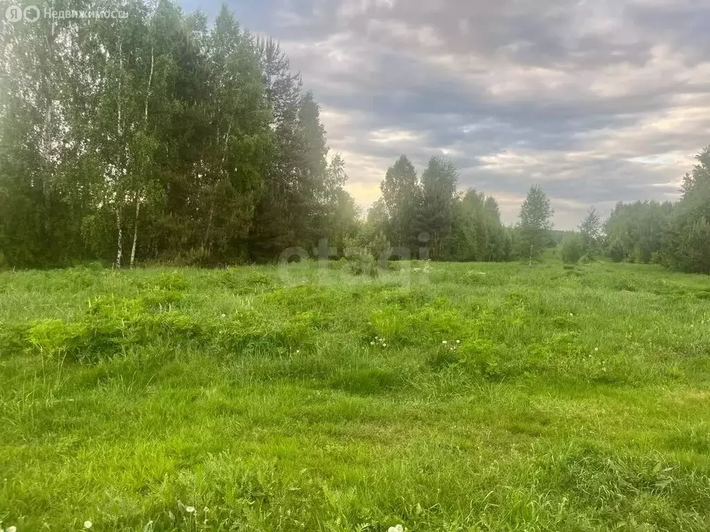 Участок в Владимирская область, городской округ Покров, деревня Вялово ... - Фото 1