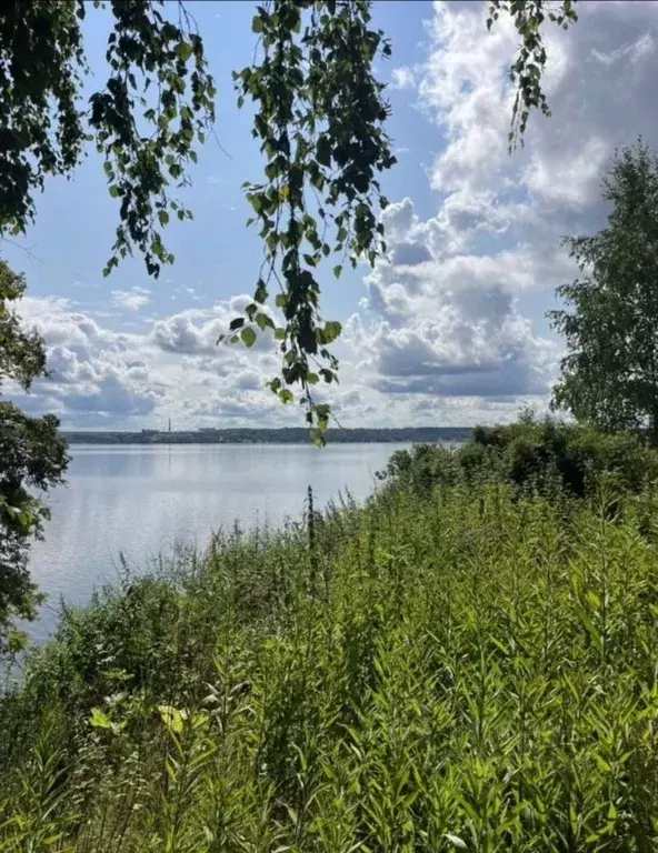 Участок в Пермский край, Добрянский муниципальный округ, с. Красная ... - Фото 1