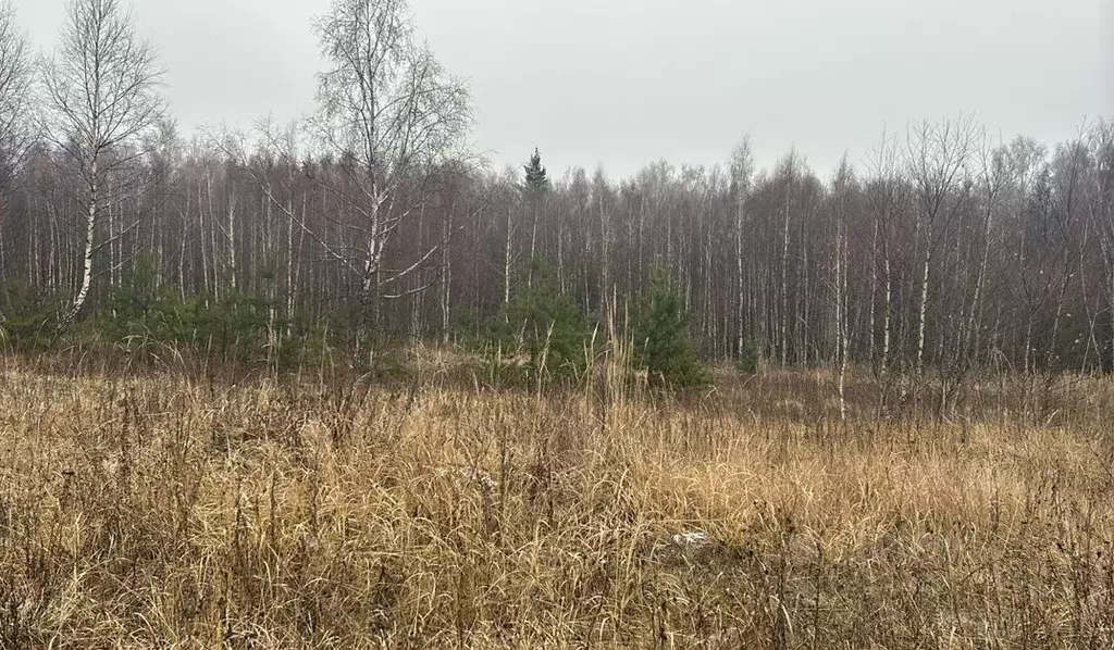 Участок в Московская область, Ступино пер. 1-й Знаменский (14.5 сот.) - Фото 0