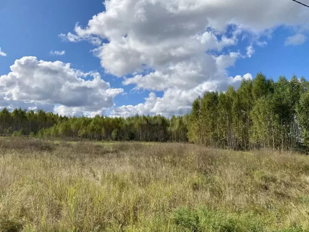 Участок в Курганская область, Курган ул. Видная, 28 (14.0 сот.) - Фото 1