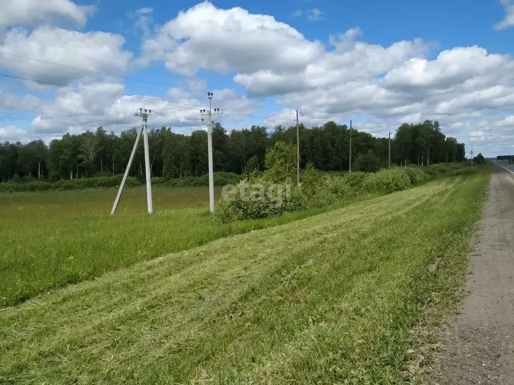 Участок в Тюменская область, Тюменский район, с. Червишево  (10.0 ... - Фото 0