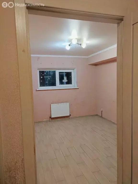 1-комнатная квартира: Российский, Парижская улица, 5/2 (33 м) - Фото 1