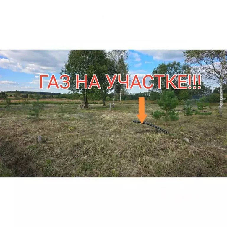 Участок в Калужская область, Боровский муниципальный округ, ... - Фото 1