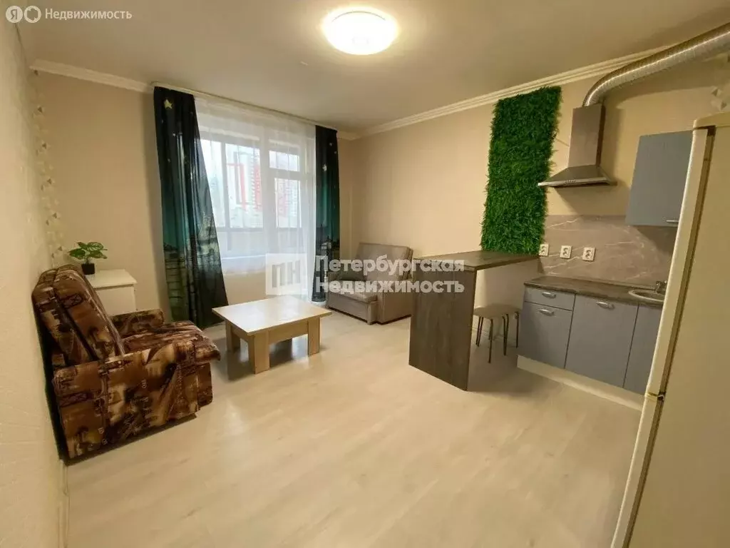 Квартира-студия: Шушары, Школьная улица, 17 (23.9 м) - Фото 2