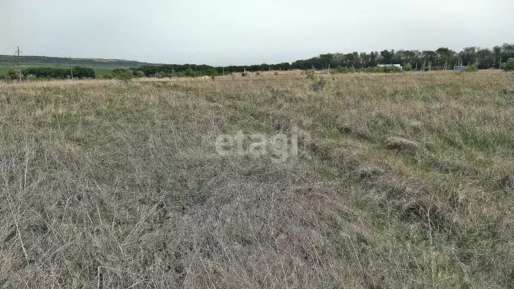 Участок в Ставропольский край, Ставрополь Виола садовое товарищество, ... - Фото 1