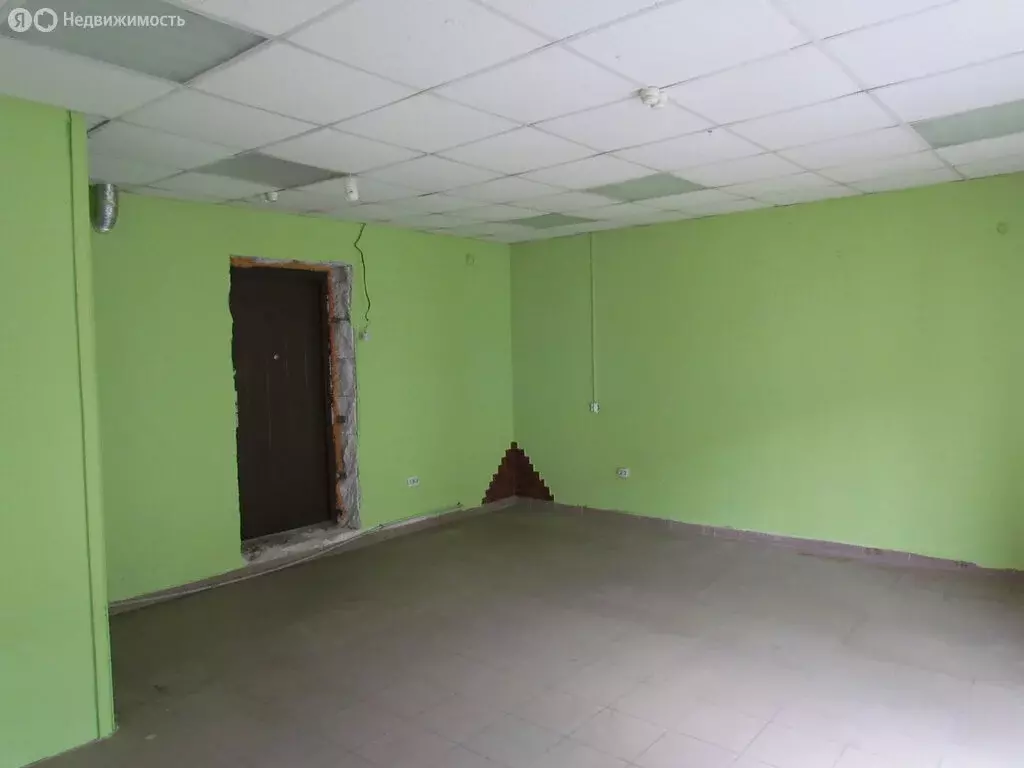 Помещение свободного назначения (29.9 м) - Фото 1