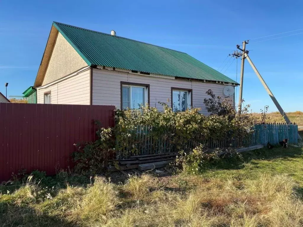 Дом в Челябинская область, Троицкий муниципальный округ, пос. Метличье ... - Фото 1