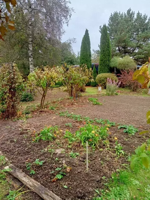Участок в Московская область, Одинцовский городской округ, д. Большое ... - Фото 2
