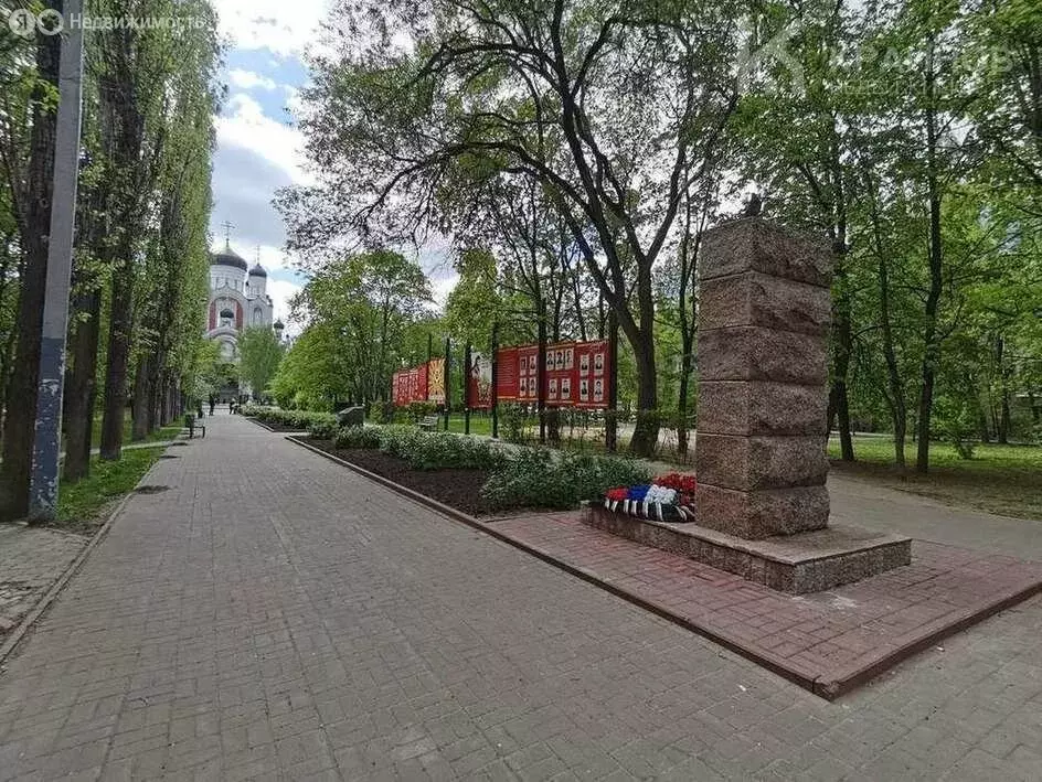 3-комнатная квартира: Воронеж, улица Домостроителей, 33 (55.6 м) - Фото 0