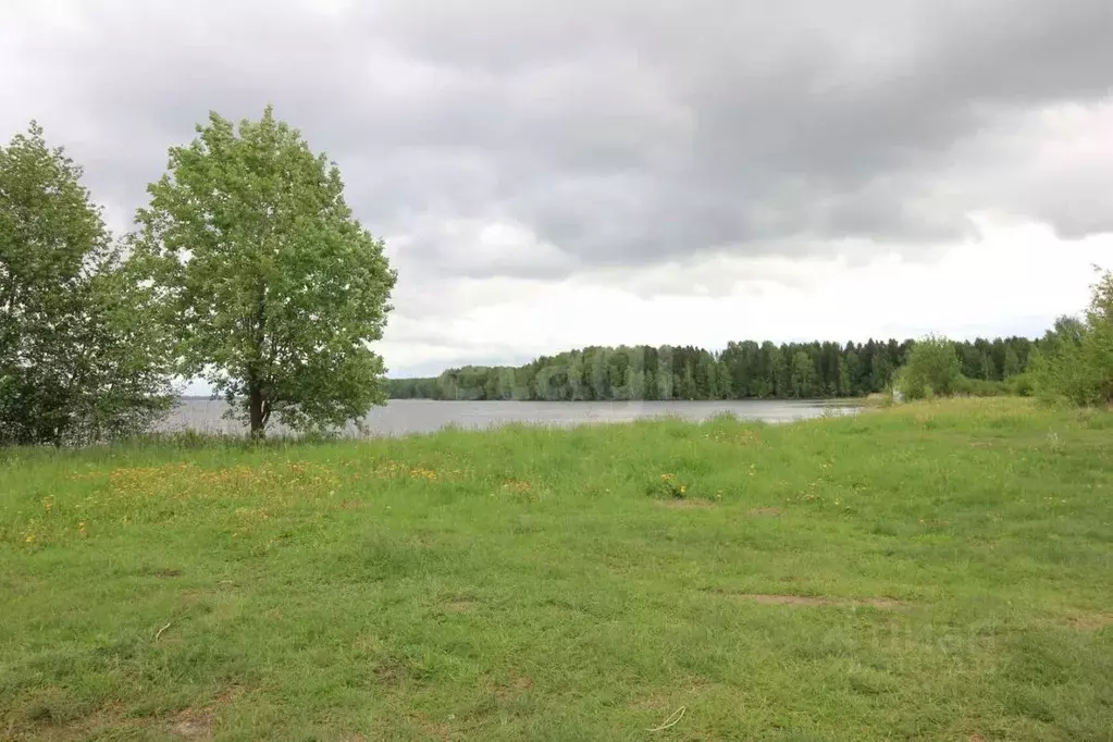 Дом в Вологодская область, Шекснинский район, Нифантовское с/пос, д. ... - Фото 1