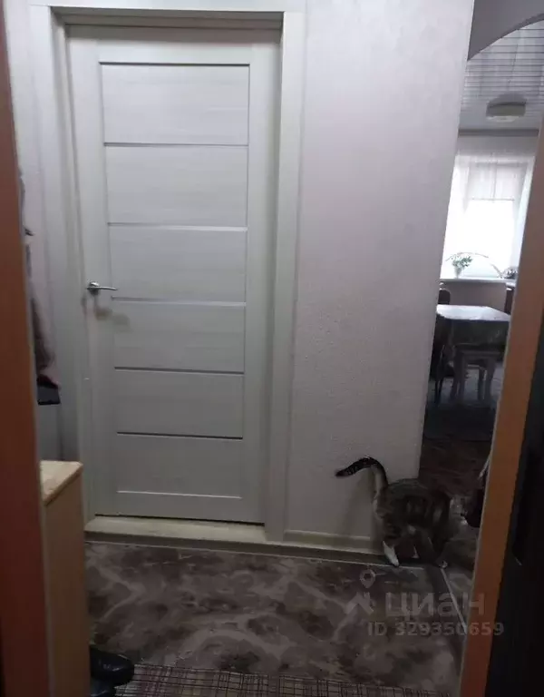 2-к кв. Ленинградская область, Кингисеппский район, Большелуцкое ... - Фото 2