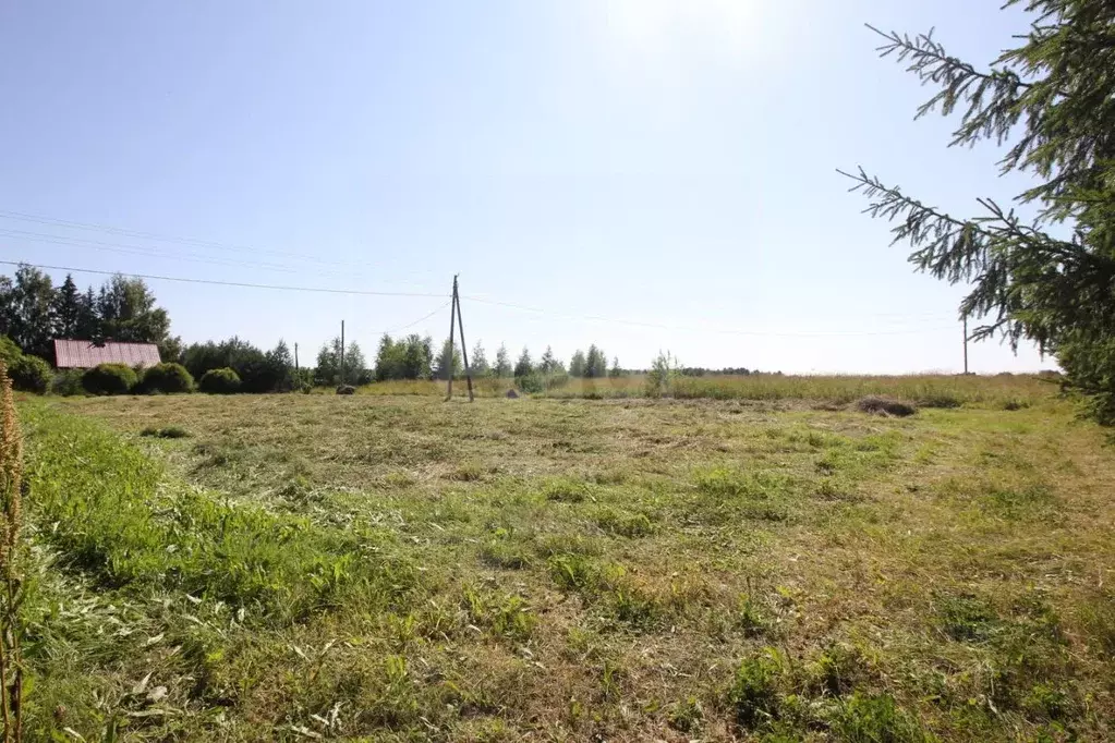 Участок в Вологодская область, Шекснинский муниципальный округ, д. ... - Фото 1