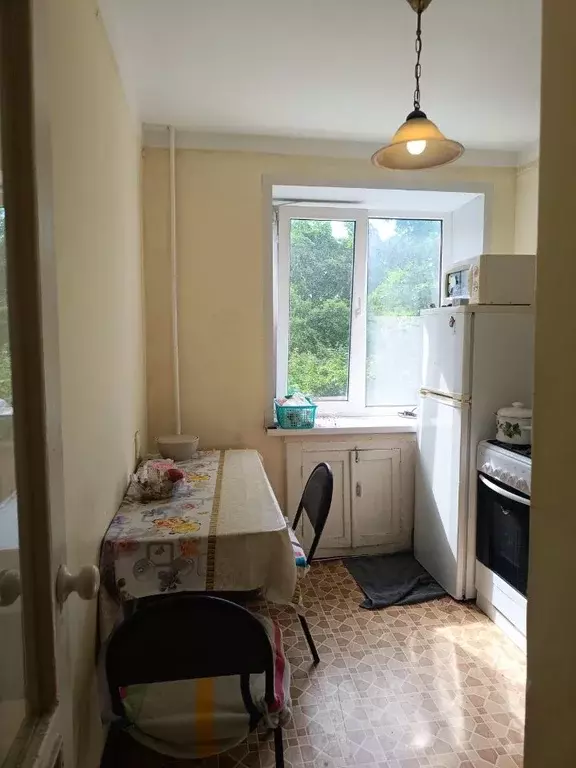 1-к кв. Курская область, Курск ул. Ленина, 94 (33.0 м) - Фото 1