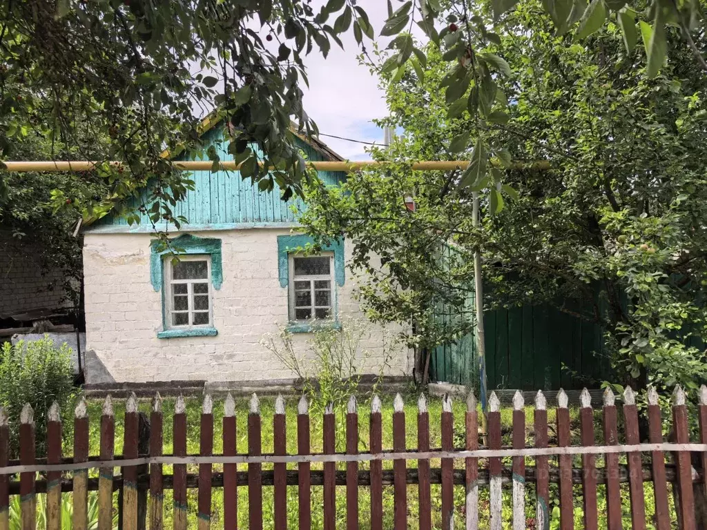 Дом в Белгородская область, Ракитянский муниципальный округ, с. ... - Фото 2
