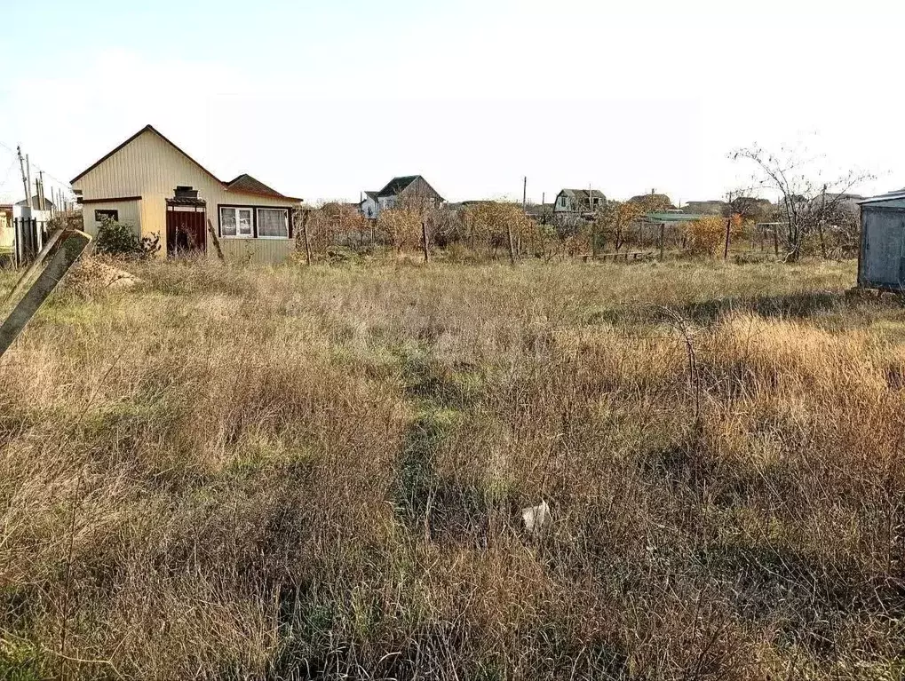 Участок в Крым, Феодосия муниципальный округ, Буревестник дп ул. ... - Фото 1