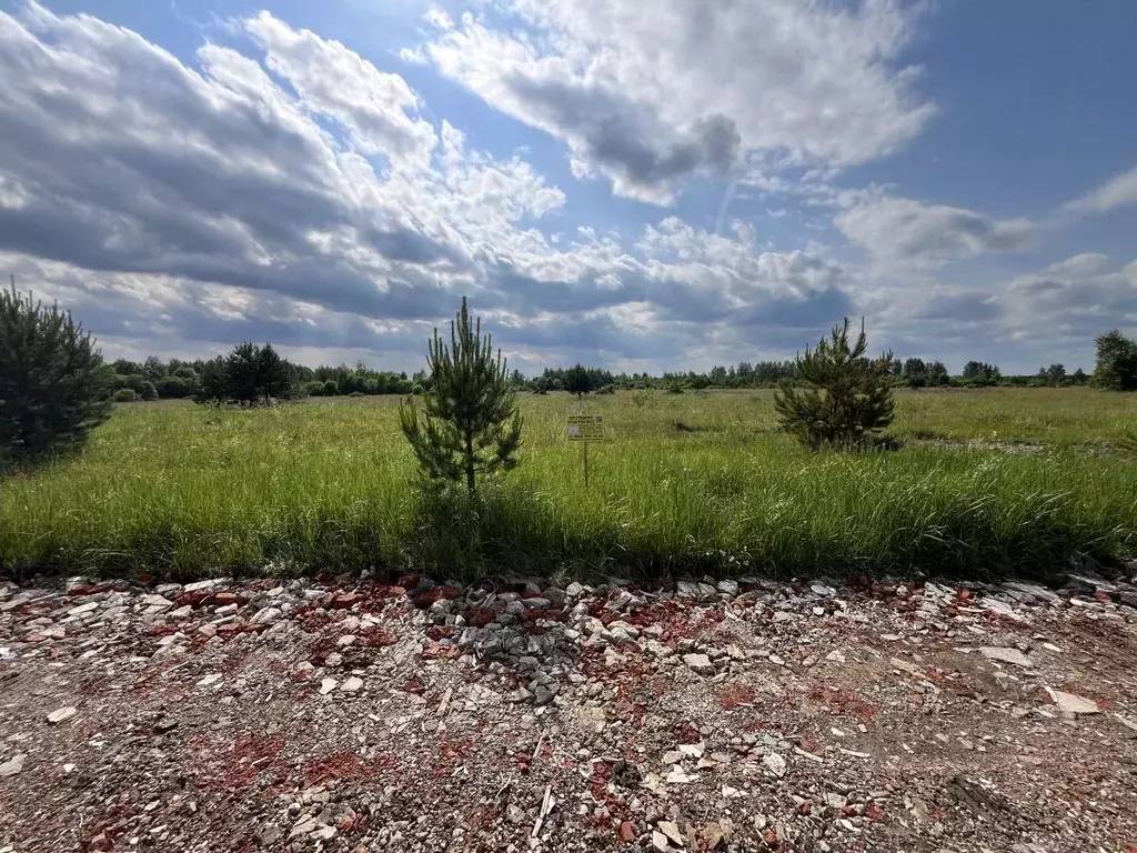 Участок в Московская область, Богородский городской округ, Следово кп ... - Фото 2