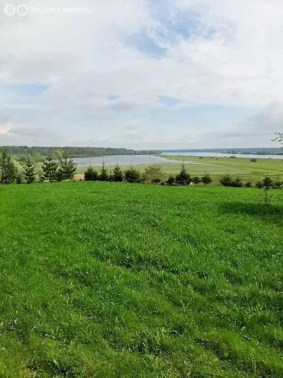 Участок в Новгородская область, Чудовский муниципальный район, ... - Фото 1