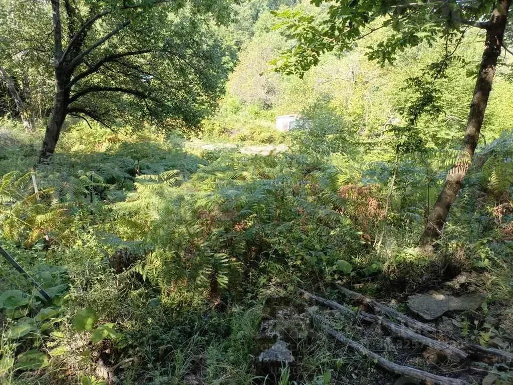 Участок в Краснодарский край, Сочи Магнитогорская ул. (7.0 сот.) - Фото 1