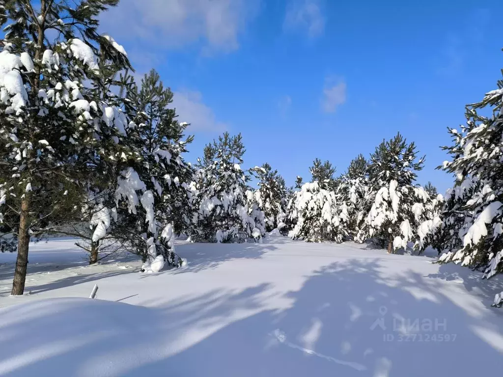Участок в Московская область, Раменский муниципальный округ, с. Речицы ... - Фото 2