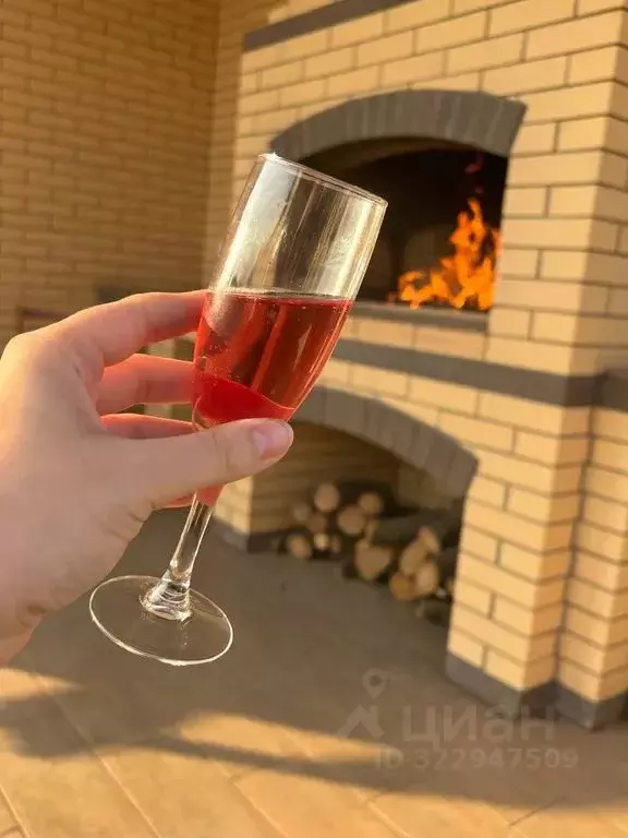 Дом в Ростовская область, Ростов-на-Дону Защитник садовое ... - Фото 2