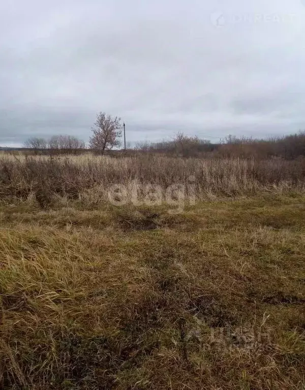 Участок в Мордовия, Саранск городской округ, Луховка рп ул. Садовая ... - Фото 0