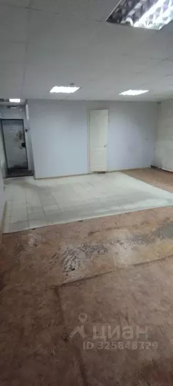 Помещение свободного назначения в Челябинская область, Челябинск ул. ... - Фото 1