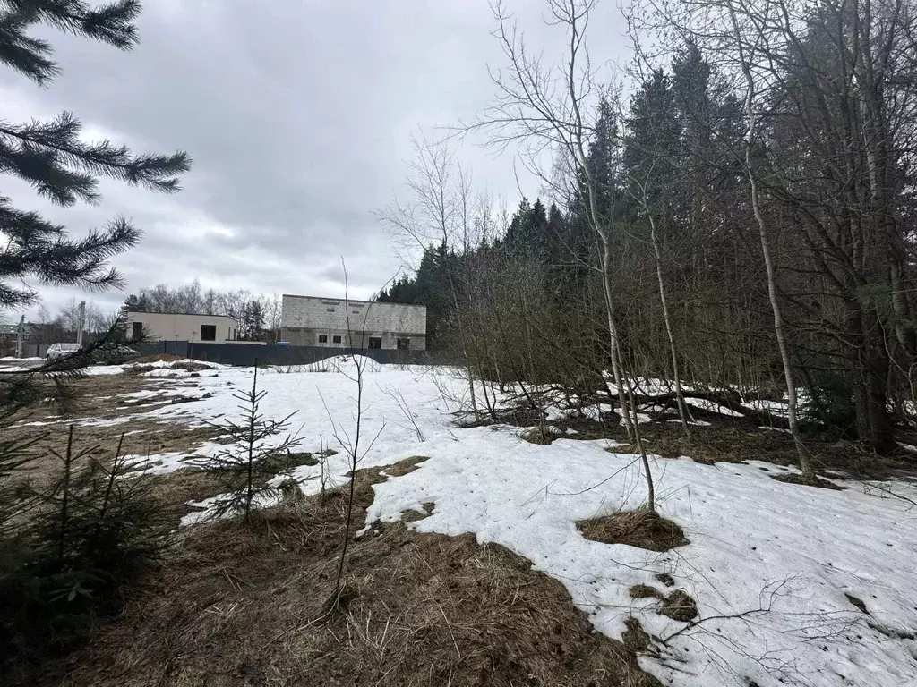 Участок в Московская область, Мытищи городской округ, с. Марфино ул. ... - Фото 2