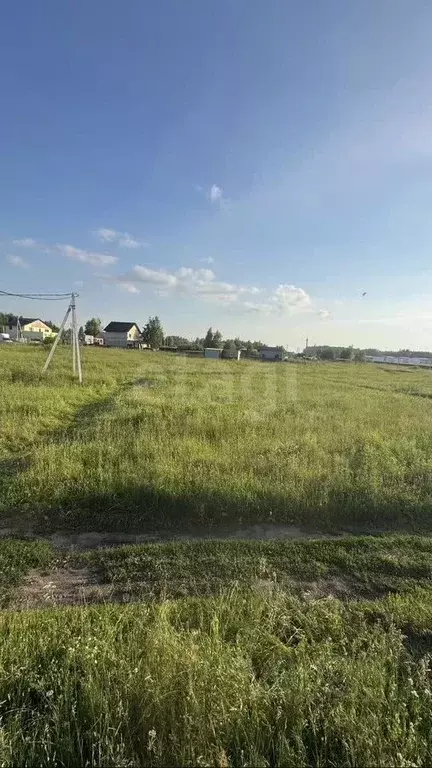 Участок в Новосибирская область, Мошковский район, пос. Октябрьский ... - Фото 2