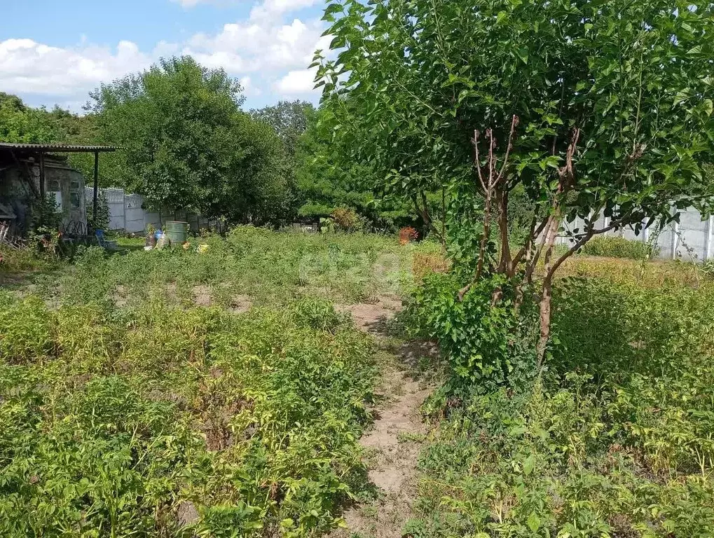 Участок в Белгородская область, Белгородский район, Дубовское с/пос, ... - Фото 0