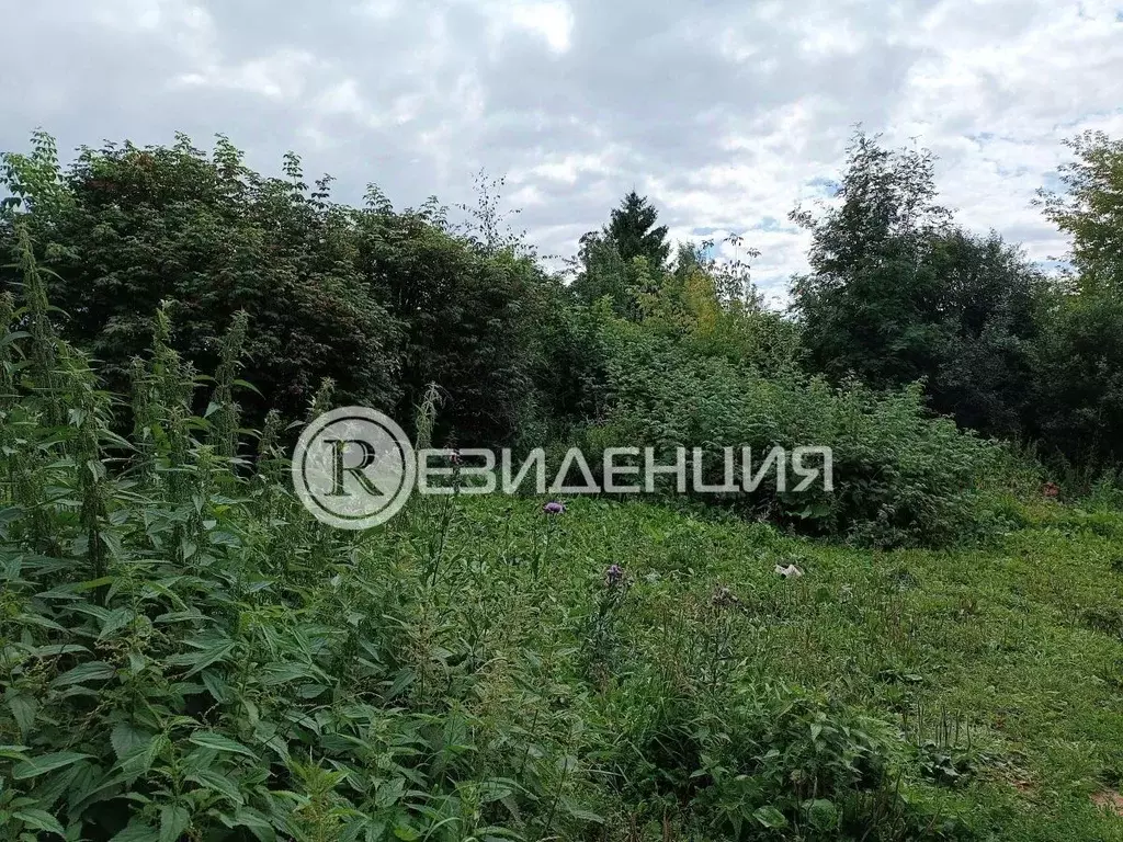 Участок в Пермский край, Пермь ул. Лифанова, 136 (7.13 сот.) - Фото 1