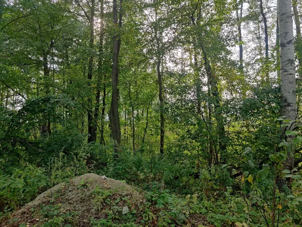 Участок в Пензенская область, Пензенский район, Засечный сельсовет, ... - Фото 1