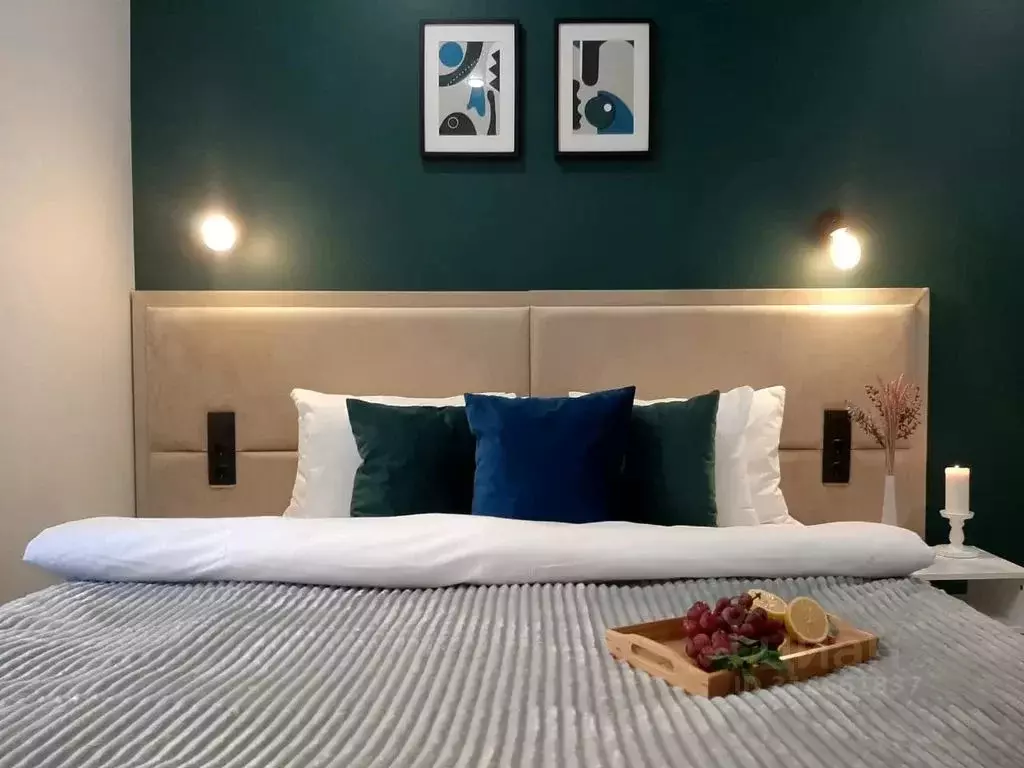 1-к кв. Санкт-Петербург Кузнечный пер., 19-21 (18.0 м) - Фото 2