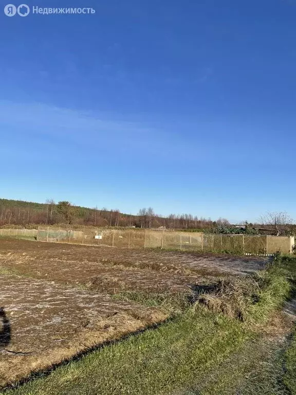 Участок в Мурманская область, Кольский муниципальный округ, посёлок ... - Фото 2