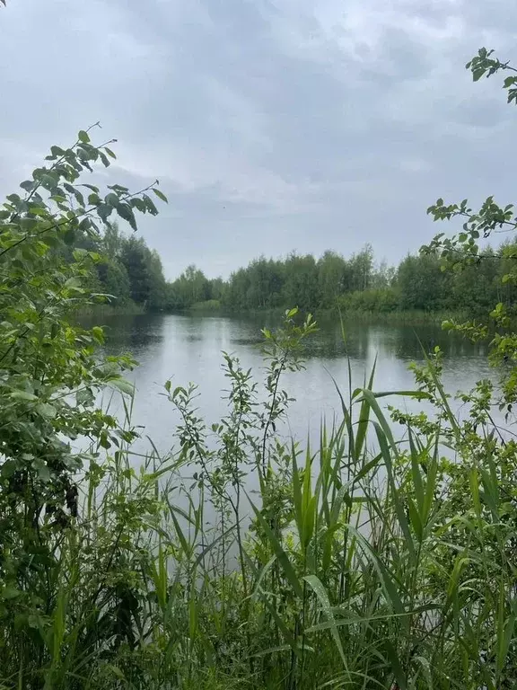 Участок в Московская область, Клин городской округ, с. Воздвиженское  ... - Фото 2