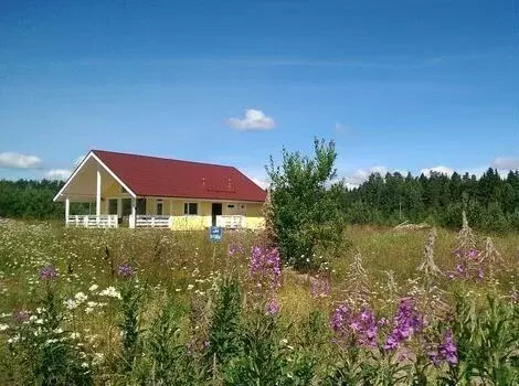 Участок в Московская область, Дмитровский муниципальный округ, с. ... - Фото 1
