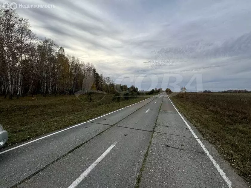 Участок в Нижнетавдинский район, деревня Малый Хутор (10 м) - Фото 1