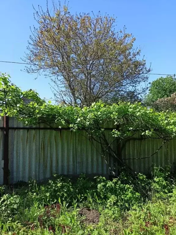 Дом в Саратовская область, Саратов Березовая роща СНТ, проезд 2-й ... - Фото 2