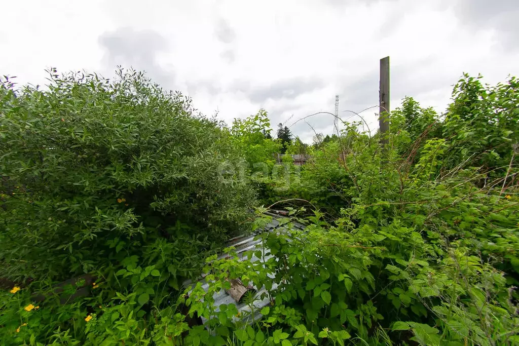 Дом в село Курлек, Больничная улица (29 м) - Фото 1