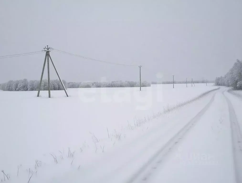 Участок в Тульская область, Ясногорский район, Теляковское с/пос, д. ... - Фото 1