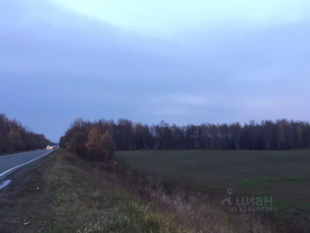 Участок в Марий Эл, Звениговский район, Кужмарское с/пос  (3.6 га.) - Фото 1