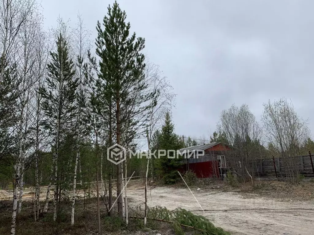 Участок в Ханты-Мансийский АО, Сургутского муниципального района тер., ... - Фото 0