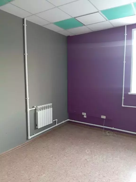 Офис в Новосибирская область, Новосибирск ул. Добролюбова, 16 (46 м) - Фото 2