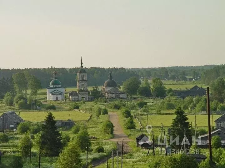 Погода кречетово архангельская область. Д Кречетово Каргопольский район. Деревня Савинская Каргопольский район. Деревня Кречетово Каргопольский район зимой. Ленинградская 30 деревня Кречетово.