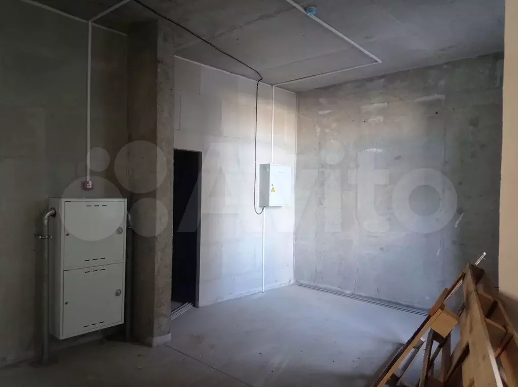 Сдам помещение свободного назначения, 53.5 м - Фото 1