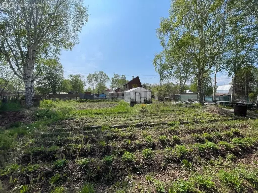 Дом в Новоавачинское сельское поселение, СНТ Заря (20 м) - Фото 1