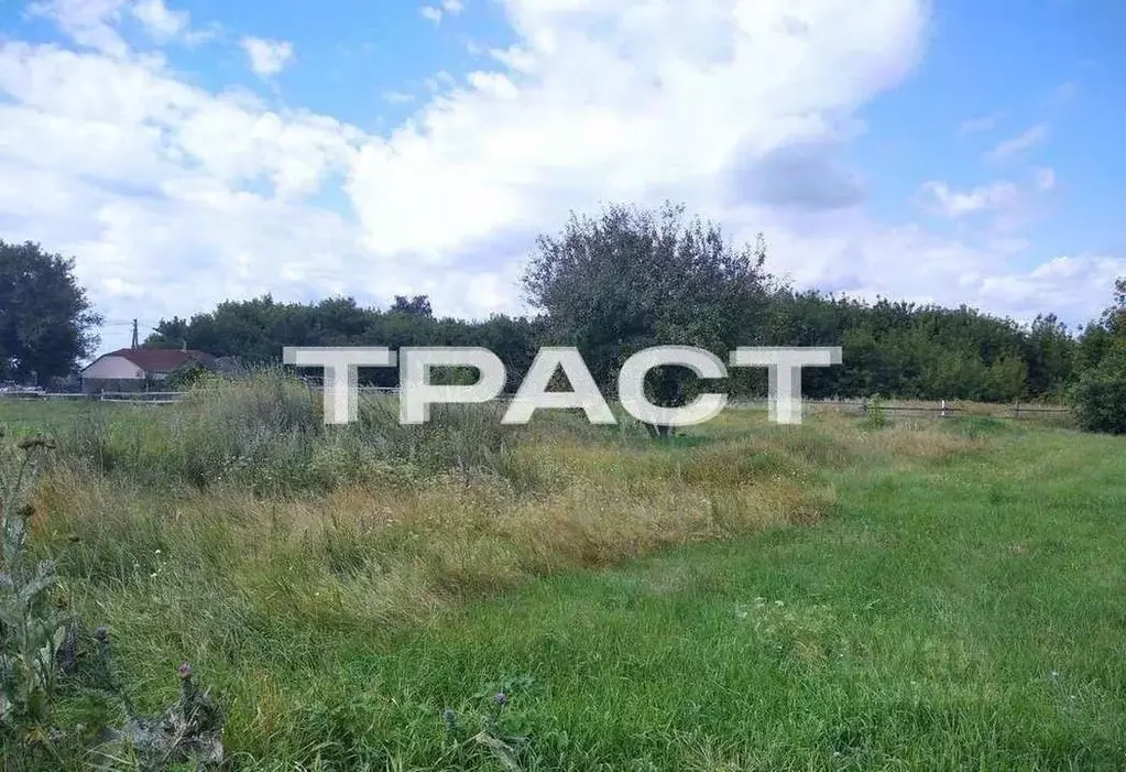 Участок в Воронежская область, Рамонский район, с. Ступино Октябрьская ... - Фото 2